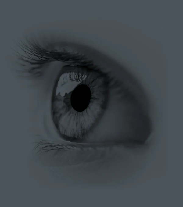 close up eye in black and white